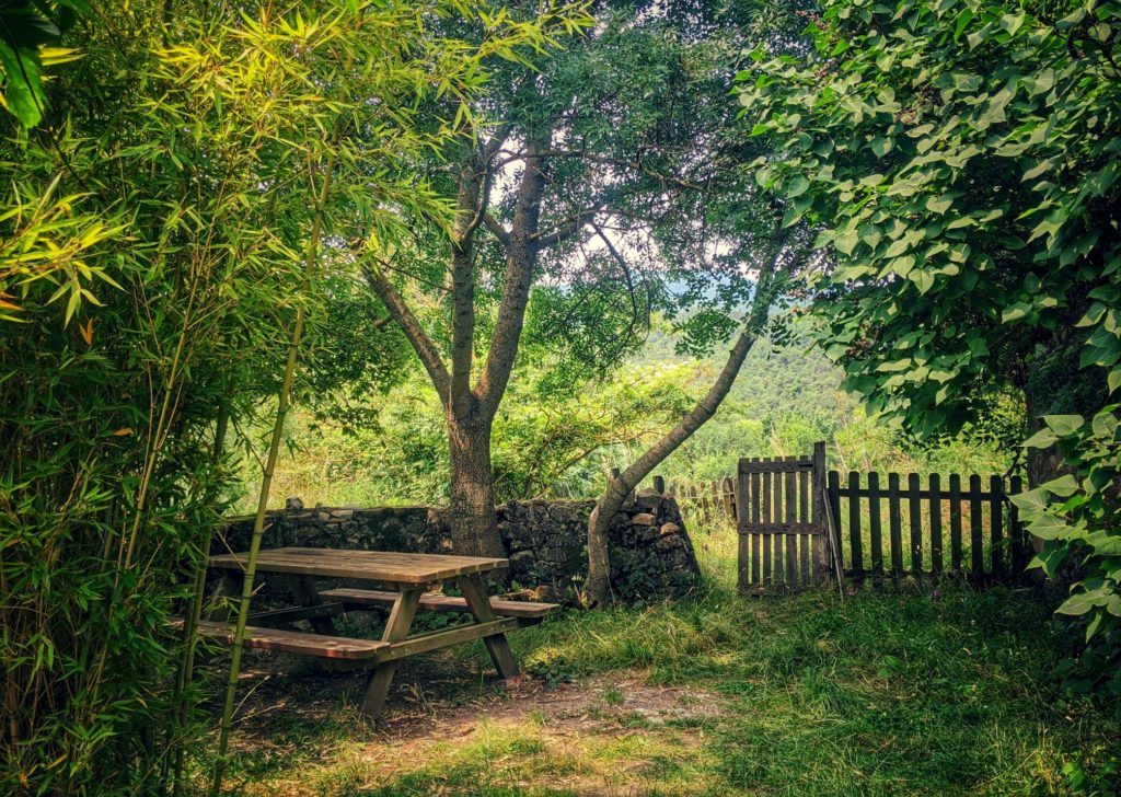 #Jardin Petit Servins 2