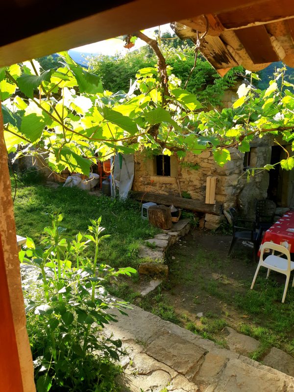 #Entrée collective Servins 2