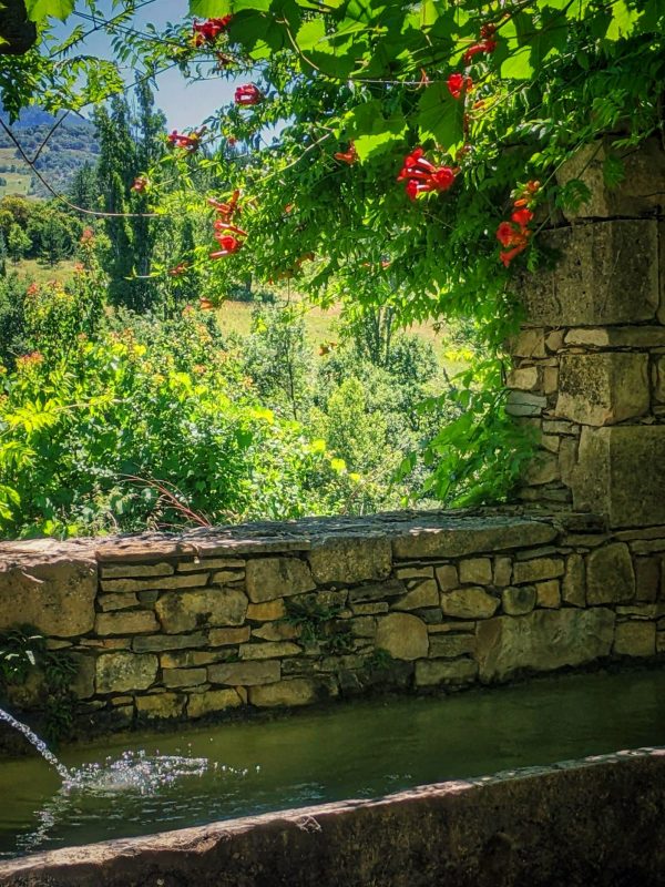 #Fontaine collective Servins