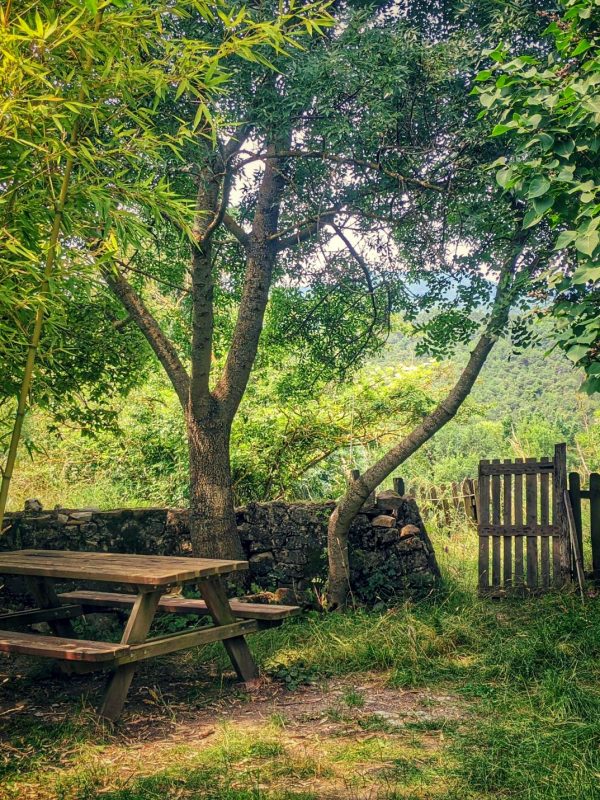 #Jardin Petit Servins 2