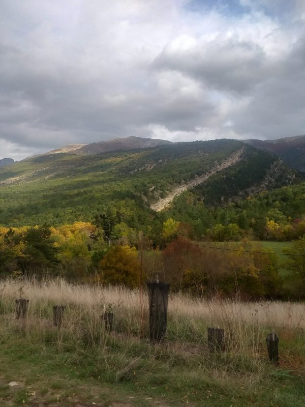 Haies sur le champs de la Tune